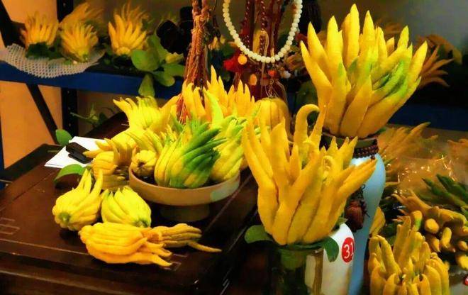 “电商钥”打开“共富锁”CQ9电子版入口北山口村(图7)