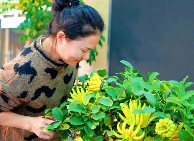 “电商钥”打开“共富锁”CQ9电子版入口北山口村(图9)