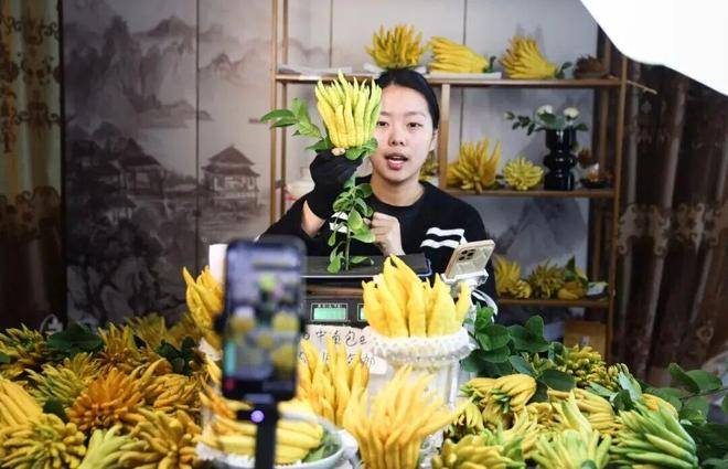 “电商钥”打开“共富锁”CQ9电子版入口北山口村(图11)