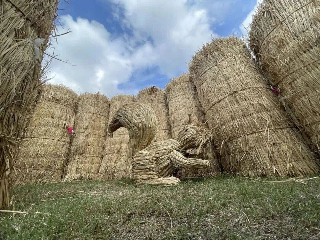 有奖、徐霞客NPC…秋游佘山新玩法还有超值亲子卡首发CQ9电子游戏网站GO享松江 移动美术馆、寻“雅”(图2) 有奖、徐霞客NPC…秋游佘山新玩法还有超值亲子卡首发CQ9电子游戏网站GO享松江 移动美术馆、寻“雅”(图2)